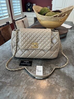 CHANEL Accordion Flap Bag in Light Grey